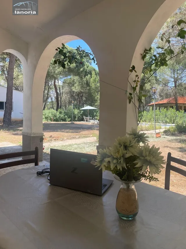 Grupo la Noria Vende Chalet de 7 dormitorios y piscina, zona urbanización los pinares del jucar. — 5