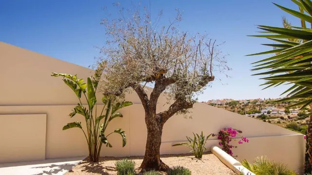 Villa 4 habitaciones 350m² en venta - La marina — 21