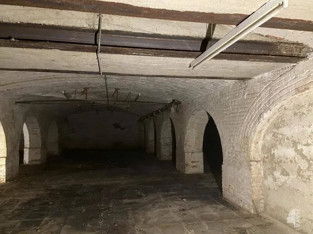 LOCAL COMERCIAL EN EL CRUCERO-LEON — 13