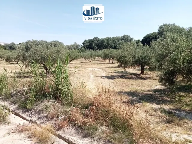 PARCELA EN PUENTE JONTOYA