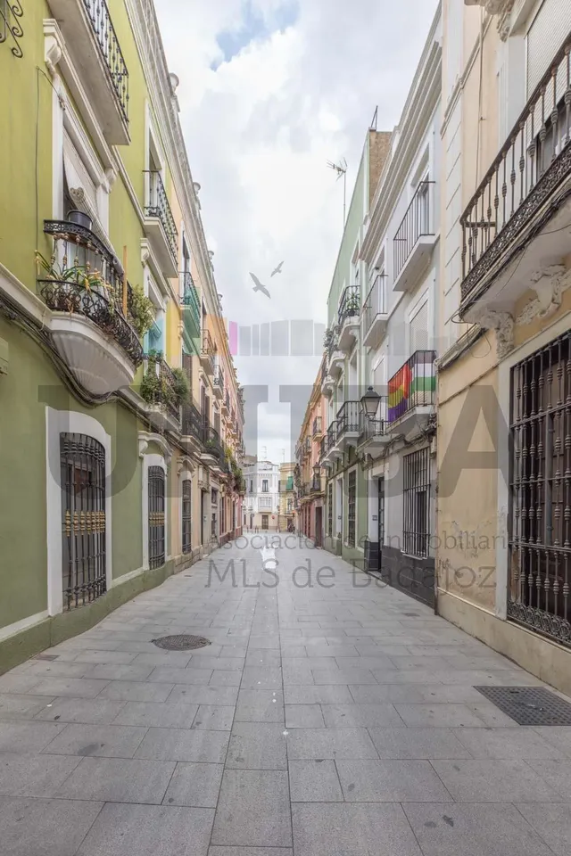 PISO TOTALMENTE REFORMADO EN EL CASCO ANTIGUO, JUNTO A PUERTA PALMAS — 24