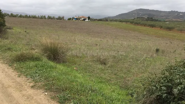 Terreno rústico en Coín: 22.219 m² con potencial de revalorización — 2