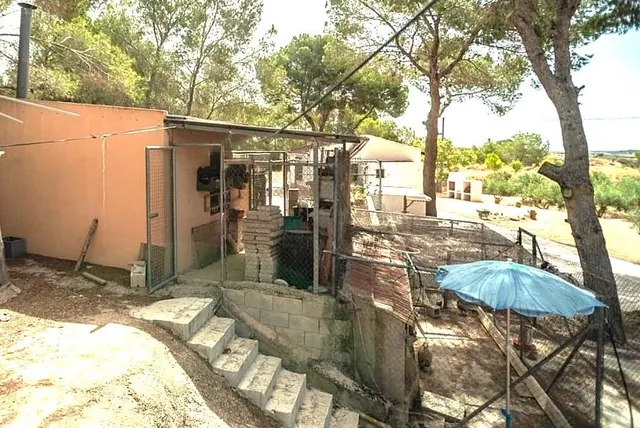 Finca rústica 1 habitación 86m² en venta - Gea Y Truyols — 21