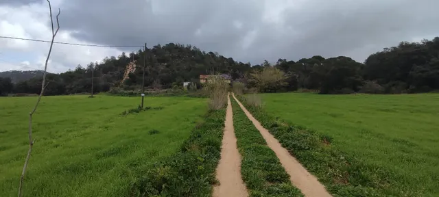 Masía histórica para rehabilitar con 19 hectáreas de terreno – Tossa de Mar — 30