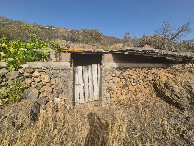 MAGNIFICA FINCA ARICO - foto 5
