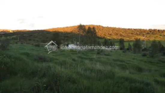 OPORTUNIDAD!! Parcela de 2500m2 totalmente vallada en ARROPE - foto 3