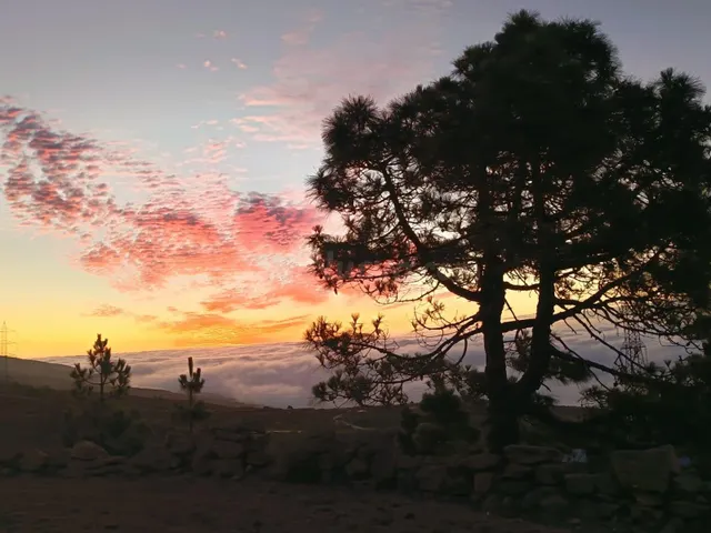 Santuario ecológico entre pinos, mar y estrellas