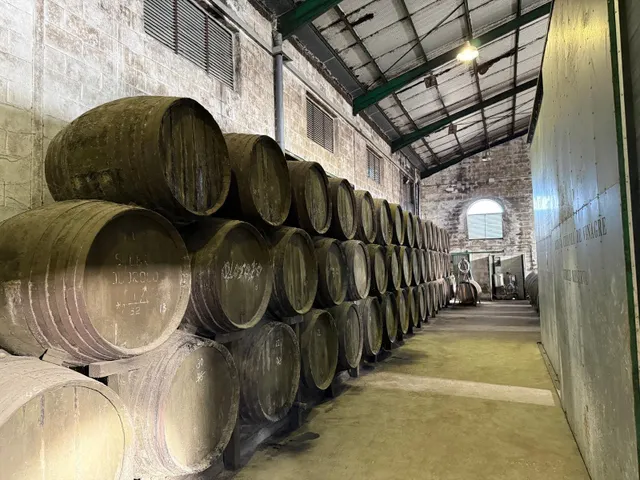Viñedo de 24,40ha 1300m2 naves y 400m2 restaurante — 22