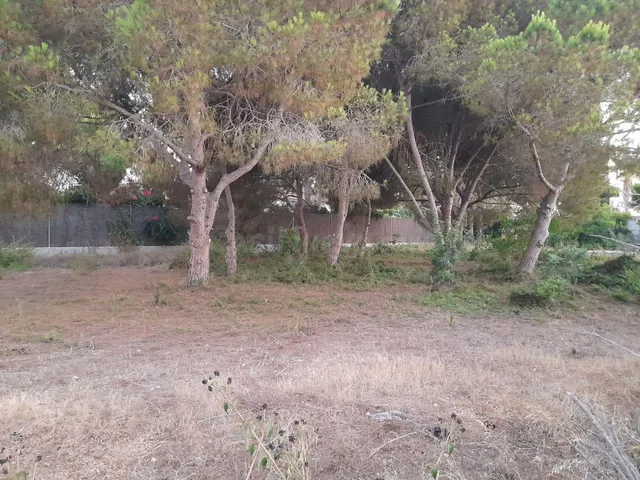 Terreno urbano en venta - Cabo Roig - foto 2