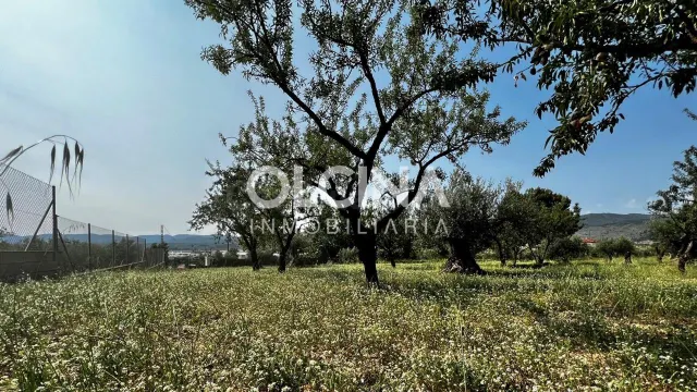 Terreno rural en venta - Els Plans — 5