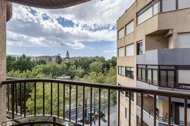 Pisazo en paseo del salón - Granada — 21