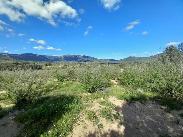 Terreno rural en l'Aleixar — 15