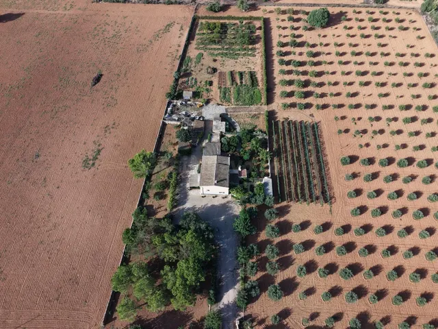 Finca en Son Mesquida: un proyecto de vida en el campo mallorquín — 3
