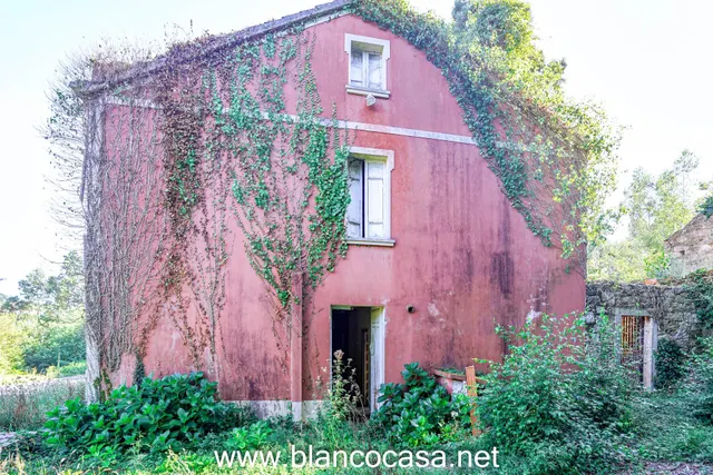 ¡¡CASA + FINCA de 9916 M2 + HÓRREO para REFORMAR por 68.990 €!! — 10