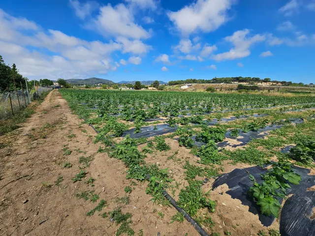 Terreno agricola en venta en Malgrat de Mar — 20