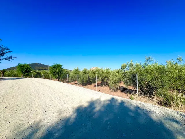 ALBOLOTE - PANTANO CUBILLAS — 25