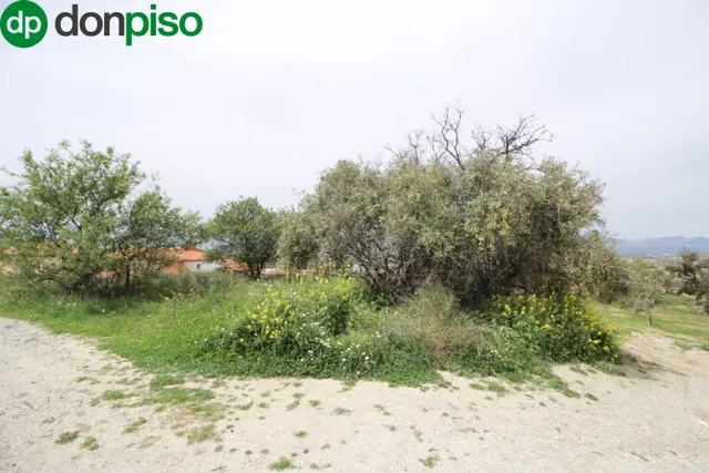 FINCA EN CORTIJO SAN JERÓNIMO (BARTODANO) — 43