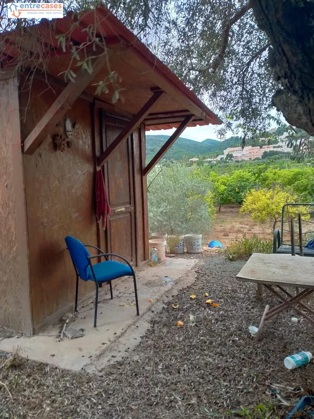 CONJUNTO DE PARCELAS EN PETRÉS — 14
