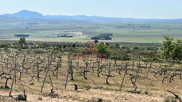 VILLA DE OBRA NUEVA EN YECLA, MURCIA — 16