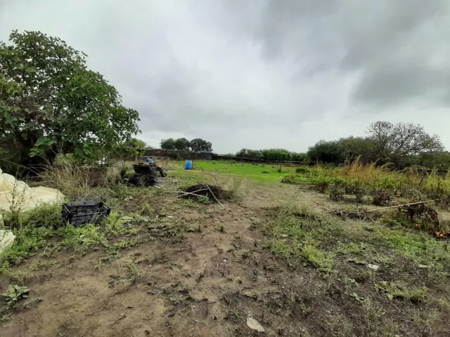 parcela a 1000 m2 con pozo al lado de Botija — 10