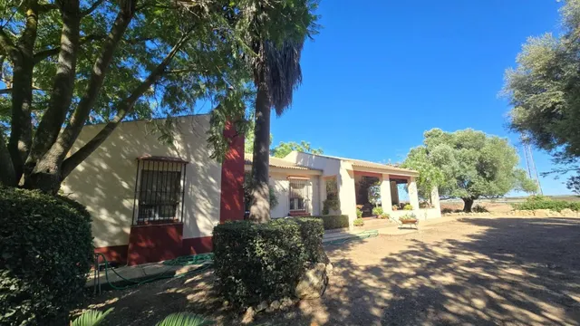 Magnífica casa de campo con piscina y vistas a Moguer, en finca de casi 15.000 m2 — 41