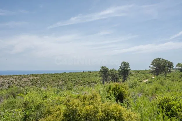 Parcela 35m² en venta - Montañar I