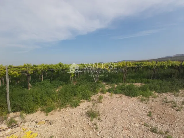 SE VENDE FINCA RUSTICA EN ASPE ZONA ALCANA CERCA DEL PEÑON - foto 2