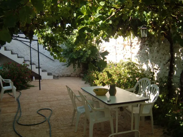 Casa en el paraje "la laguna de Alpera" ( a 5 km del casco urbano) — 12