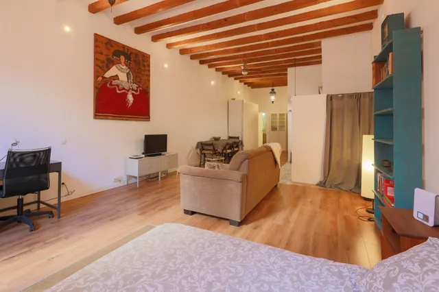 Fantastico loft con terraza Cerca del Palau de la Musica — 23