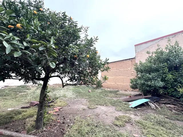 CASA-SOLAR EN AVENIDA DEL PILAR CON APROX. 400 M2