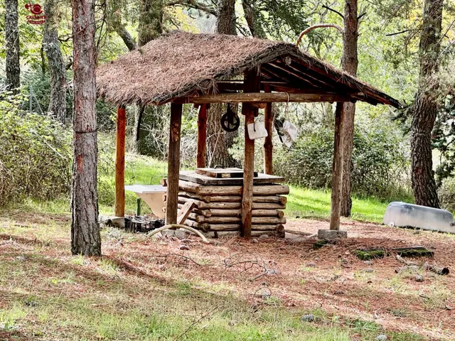 Terreno de 10.117m2 con vivienda de 75m2 rodeado de un precioso bosque — 17