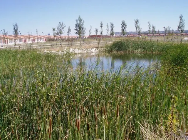 VENTA DE PARCELA URB EL SOTO - foto 4