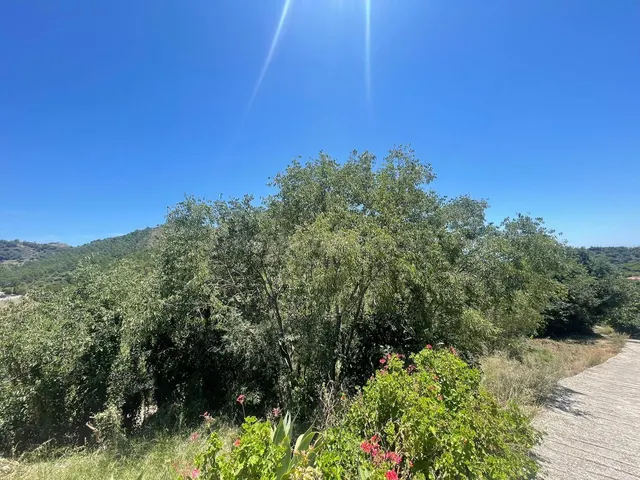 Parcela en venta - Centro — 2