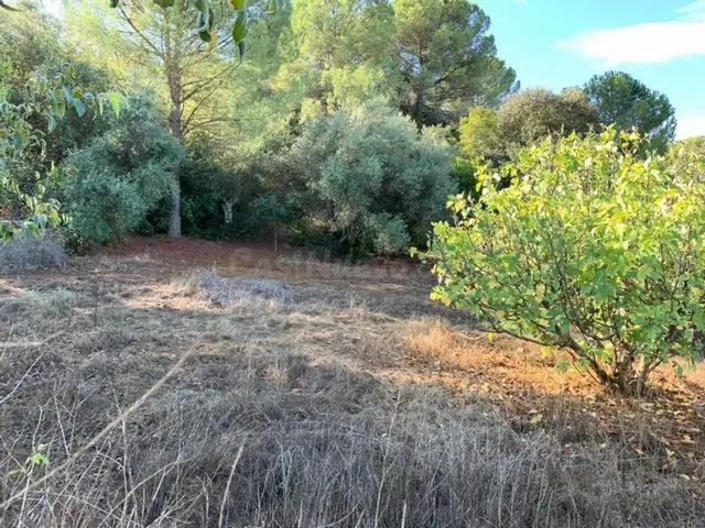 ZONA TRASSIERRA - Parcela de terreno de 3.000 m3 con luz, co - foto 4