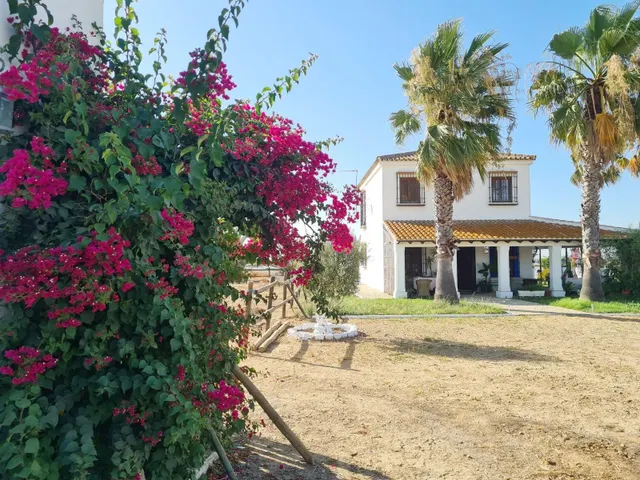 Espectacular finca de 19.000 m2 con 2 casas en Moguer (Huelva) — 18
