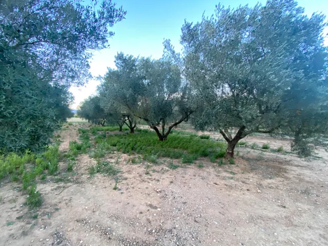 Encantador terreno con agua y luz de 1,2 ha — 13