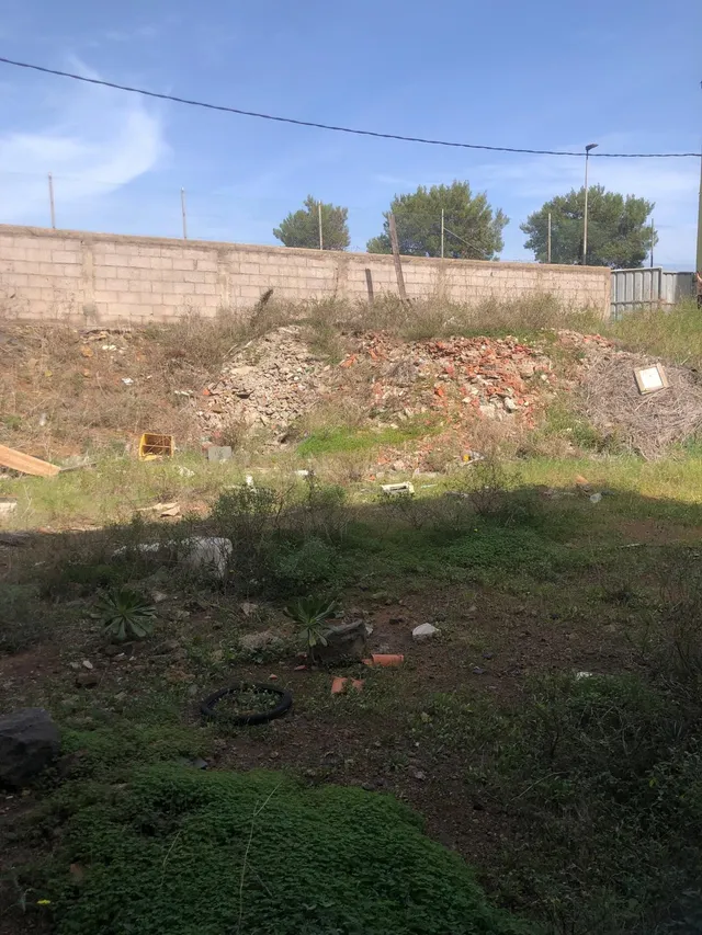 Terreno Geneto La Laguna - foto 2
