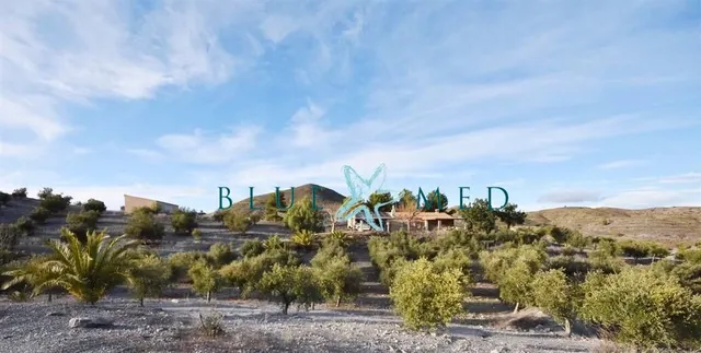 Casa rural independiente con unos 5.000 olivos