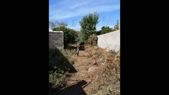 SE VENDE CASA ANTIGUA CON TERRENO DE 3 PLANTAS EN BERJA — 23