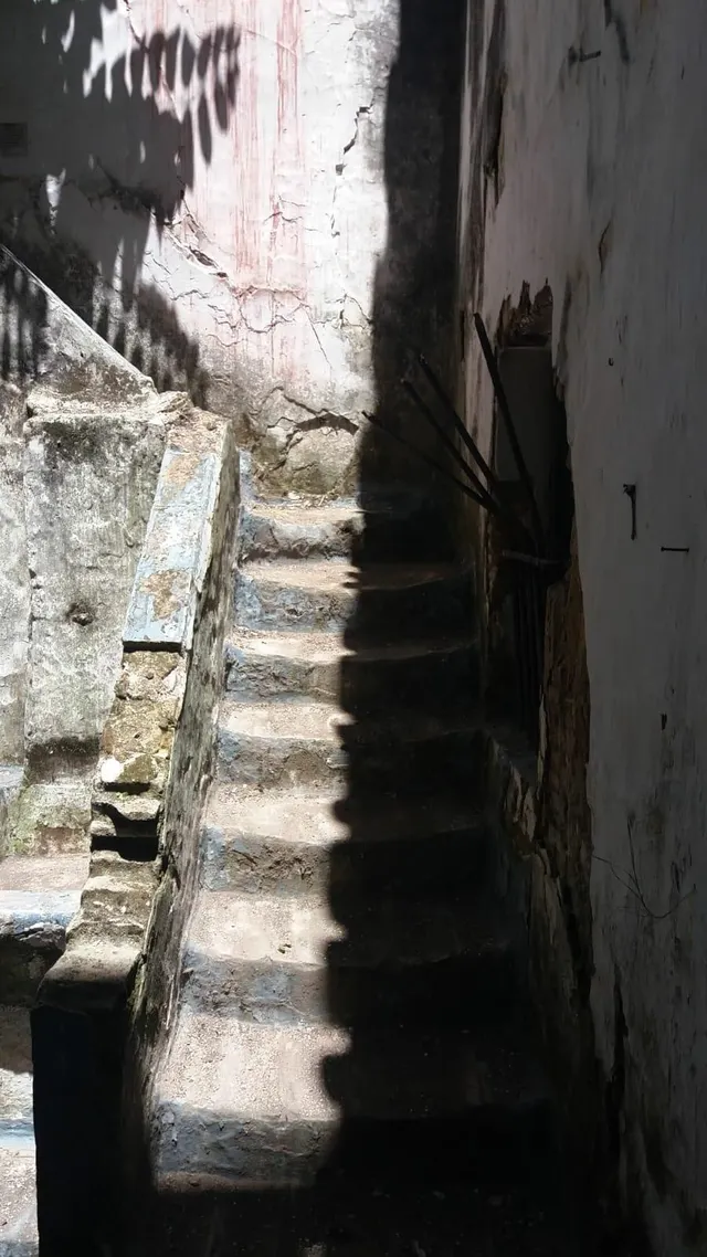Venta de Casa con Bar — 5