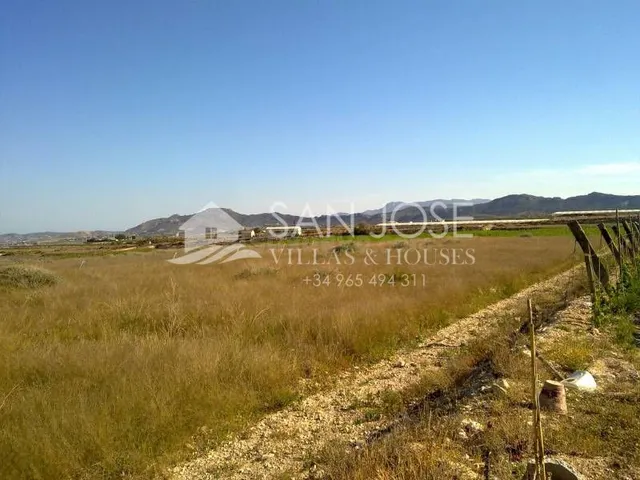 Inmobiliaria San Jose vende parcela en Novelda, Costa Blanca - foto 3