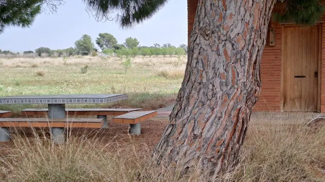 Finca rústica en venta en Constanti — 12