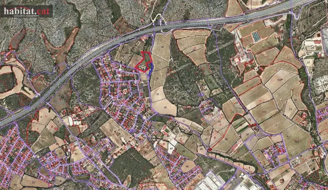 ¡¡ TERRENO URBANIZABLE EN VILANOVA - MAS TAPET !! — 2