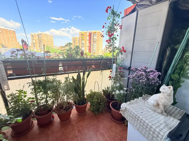 NUDA PROPIEDAD · Piso exterior de 100 m2 con terraza y ascen
