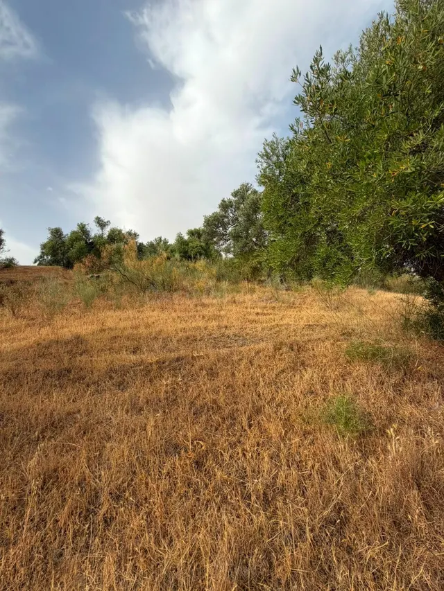 Terreno Rústico de 35 fanegas en FINCA LA SERENA! — 17