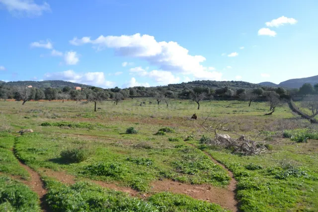 Finca rústica en Manacor — 2