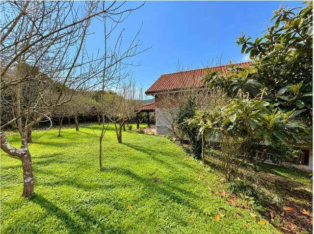 CONJUNTO DE DOS CASAS DE PIEDRA CON GRAN POTENCIAL EN PADIERNIGA (VOTO) — 30