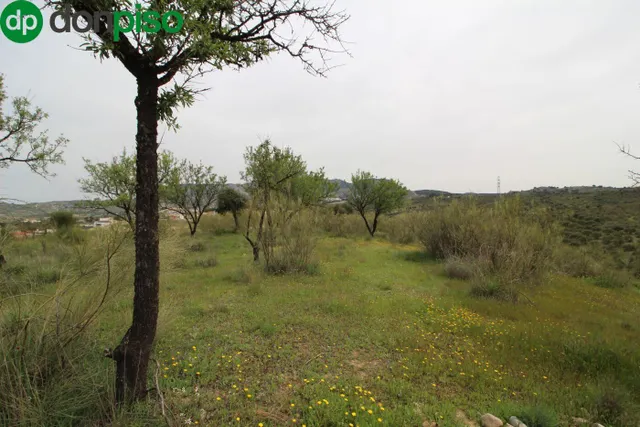 FINCA EN CORTIJO SAN JERÓNIMO (BARTODANO) — 30
