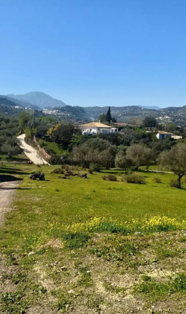 Finca olivar en Monda con vistas al pueblo y naturaleza