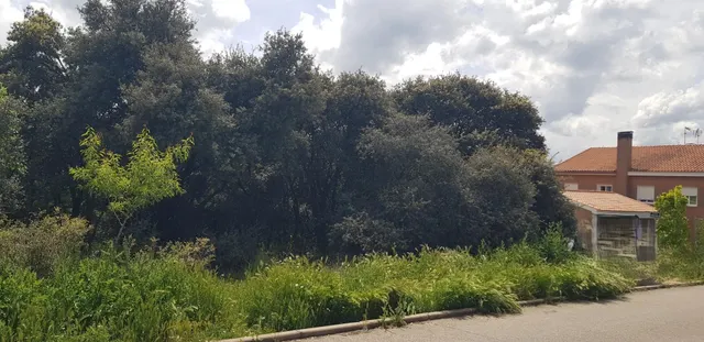 PARCELA DE ESQUINA EN PIOZ — 4